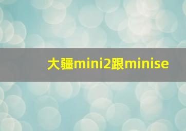 大疆mini2跟minise