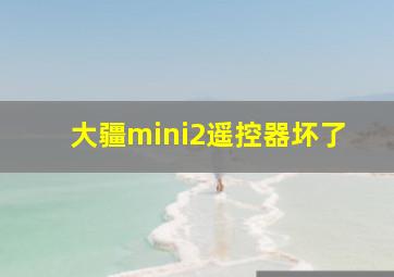 大疆mini2遥控器坏了