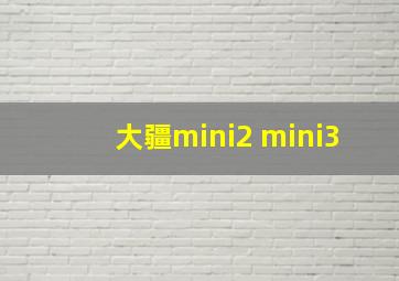 大疆mini2 mini3