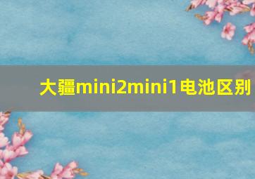 大疆mini2mini1电池区别