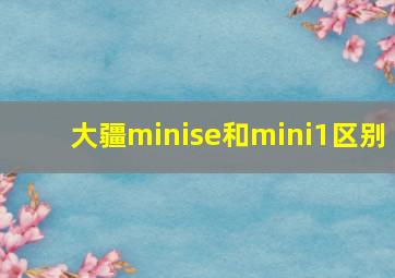 大疆minise和mini1区别