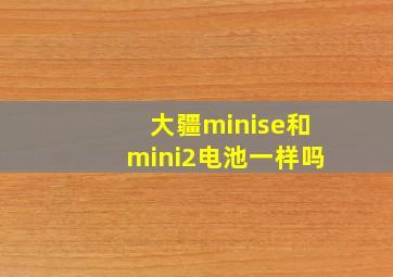 大疆minise和mini2电池一样吗