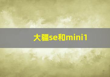 大疆se和mini1