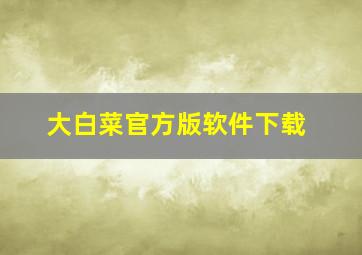 大白菜官方版软件下载