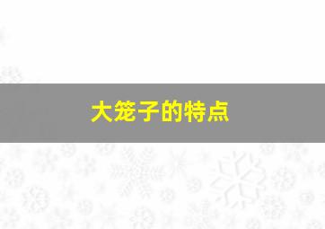 大笼子的特点