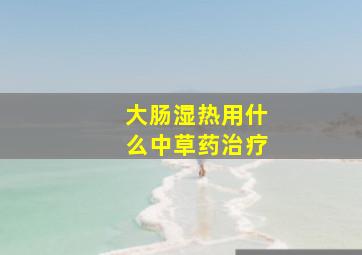 大肠湿热用什么中草药治疗