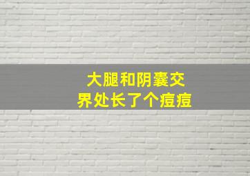 大腿和阴囊交界处长了个痘痘