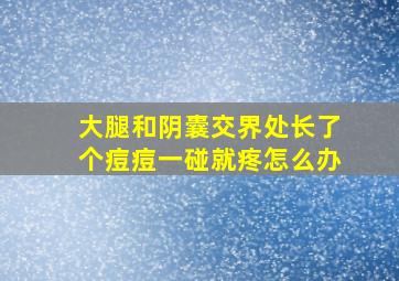 大腿和阴囊交界处长了个痘痘一碰就疼怎么办