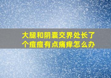 大腿和阴囊交界处长了个痘痘有点痛痒怎么办