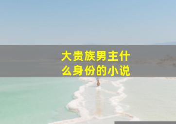 大贵族男主什么身份的小说