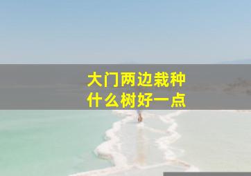 大门两边栽种什么树好一点