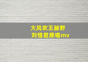 大风吹王赫野刘惜君原唱mv