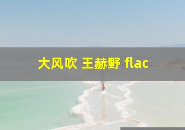 大风吹 王赫野 flac