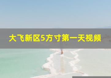 大飞新区5方寸第一天视频