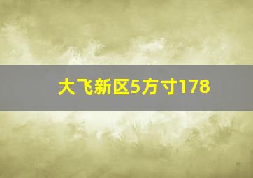 大飞新区5方寸178