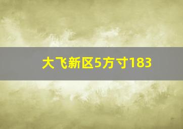 大飞新区5方寸183