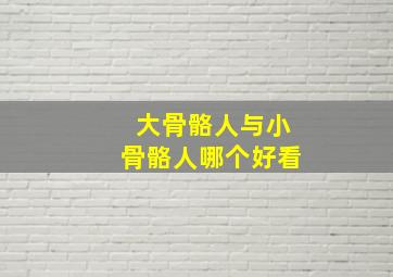 大骨骼人与小骨骼人哪个好看