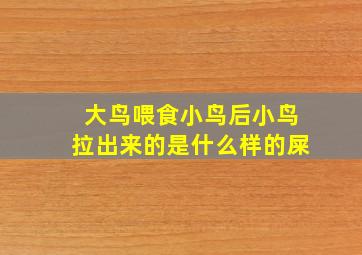 大鸟喂食小鸟后小鸟拉出来的是什么样的屎