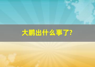 大鹏出什么事了?