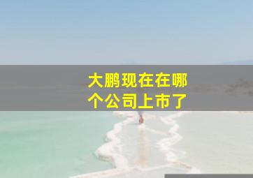 大鹏现在在哪个公司上市了