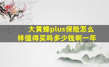 大黄蜂plus保险怎么样值得买吗多少钱啊一年