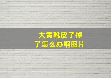 大黄靴皮子掉了怎么办啊图片