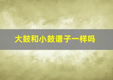 大鼓和小鼓谱子一样吗