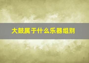 大鼓属于什么乐器组别