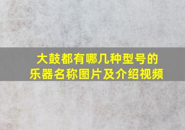 大鼓都有哪几种型号的乐器名称图片及介绍视频