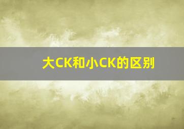 大CK和小CK的区别