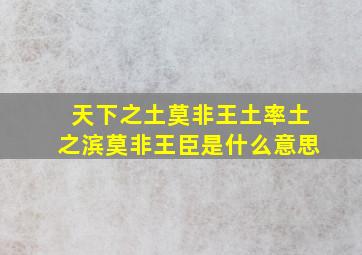 天下之土莫非王土率土之滨莫非王臣是什么意思