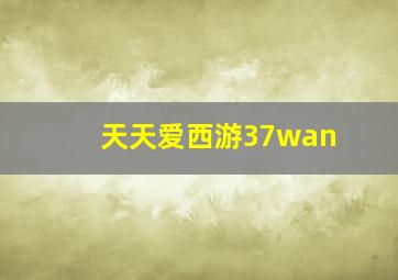 天天爱西游37wan