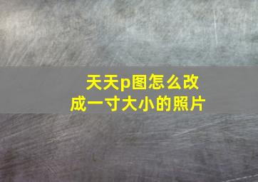 天天p图怎么改成一寸大小的照片