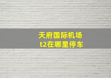 天府国际机场t2在哪里停车