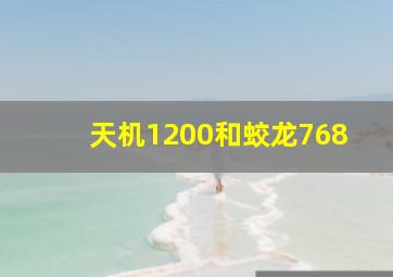 天机1200和蛟龙768