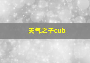 天气之子cub