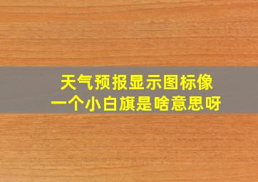 天气预报显示图标像一个小白旗是啥意思呀