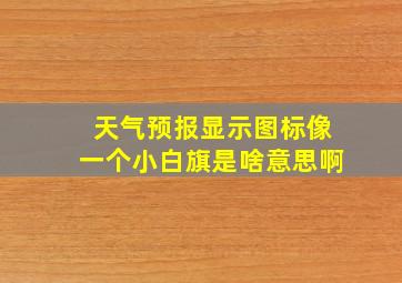 天气预报显示图标像一个小白旗是啥意思啊