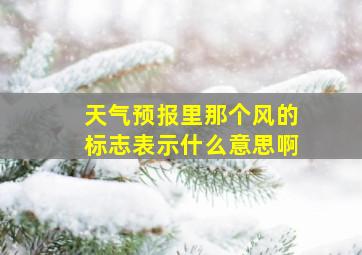 天气预报里那个风的标志表示什么意思啊