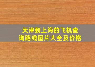 天津到上海的飞机查询路线图片大全及价格