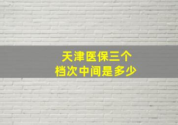 天津医保三个档次中间是多少