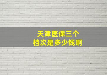 天津医保三个档次是多少钱啊