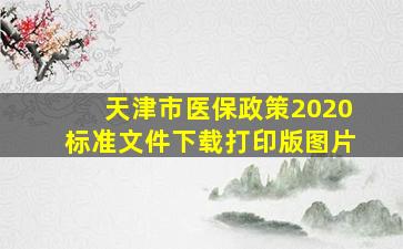 天津市医保政策2020标准文件下载打印版图片