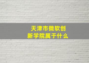 天津市微软创新学院属于什么