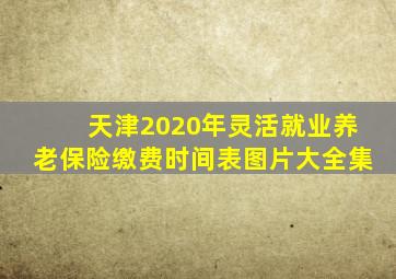 天津2020年灵活就业养老保险缴费时间表图片大全集