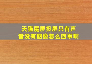 天猫魔屏投屏只有声音没有图像怎么回事啊