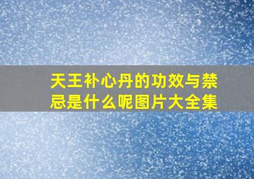 天王补心丹的功效与禁忌是什么呢图片大全集