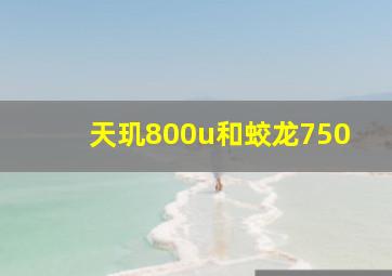 天玑800u和蛟龙750