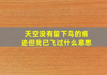 天空没有留下鸟的痕迹但我已飞过什么意思