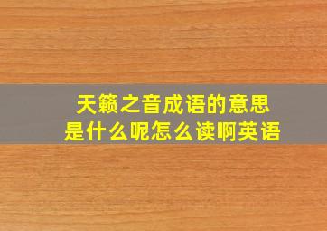 天籁之音成语的意思是什么呢怎么读啊英语